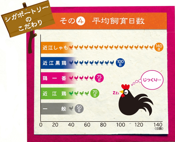 ������肻�̇C