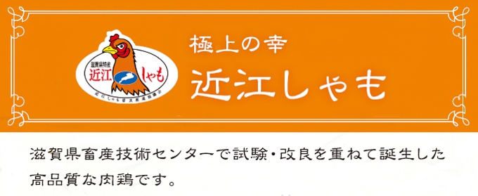 �ߍ]�����