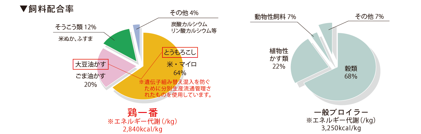SAMPLE SEARCH